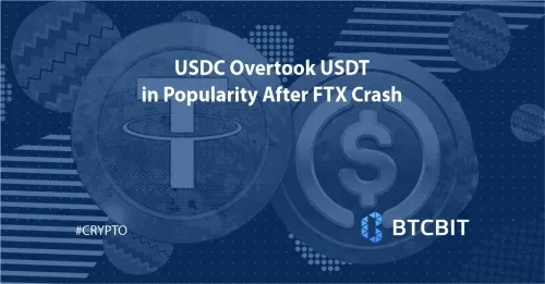 USDC Overtook USDT in Popularity After FTX Crash