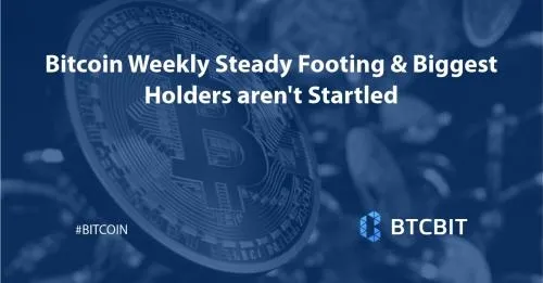 Bitcoin Weekly Steady Footing & Biggest Holders aren’t Startled