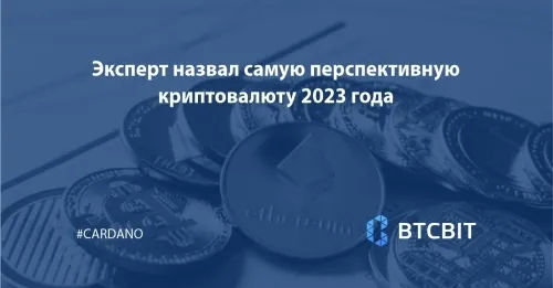 Эксперт назвал самую перспективную криптовалюту 2023 года