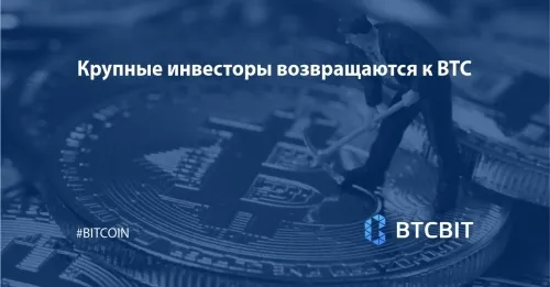 Крупные инвесторы возвращаются к BTC