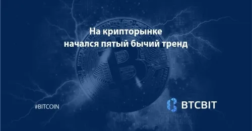 На крипторынке начался пятый бычий тренд