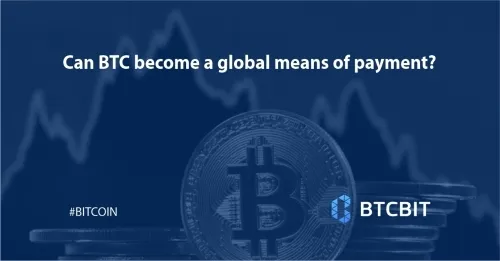 Can BTC become a global means of payment?