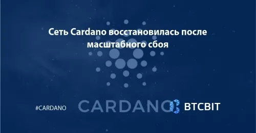 Сеть Cardano восстановилась после масштабного сбоя