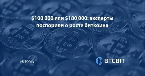 $100 000 или $180 000: эксперты поспорили о росте биткоина