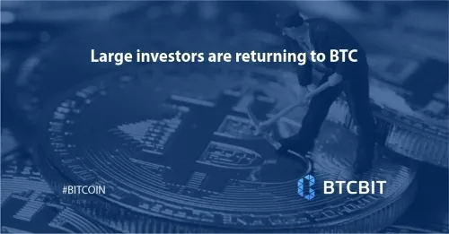 Large investors are returning to BTC