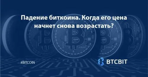 Падение биткоина. Когда его цена начнет снова возрастать?