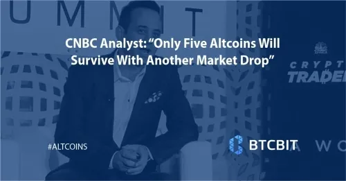 cnbc_analyst_only_five_altcoins_will_survive_with_another_market_drop