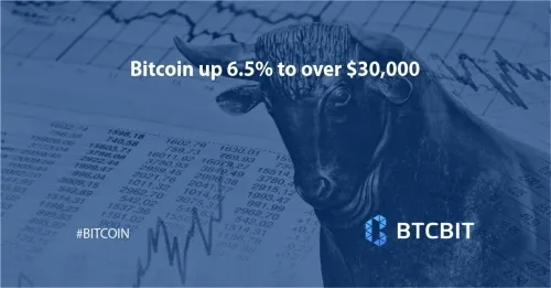 Bitcoin up 6.5% to over $30,000