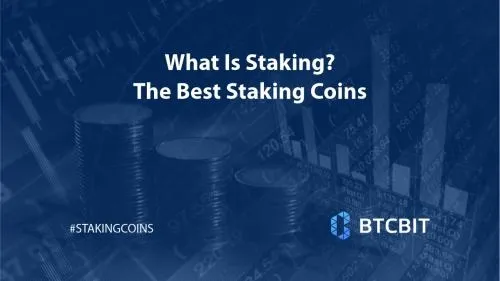 What Is Staking? The Best Staking Coins