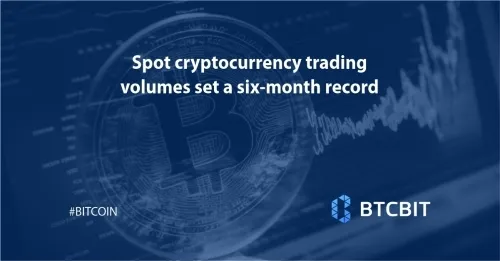 Spot cryptocurrency trading volumes set a six-month record