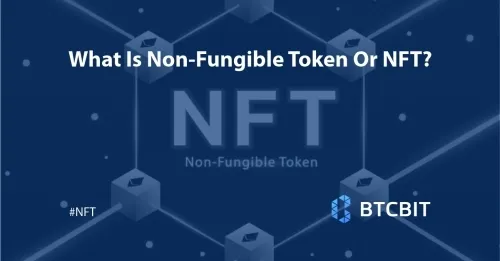 What Is Non-Fungible Token Or NFT?