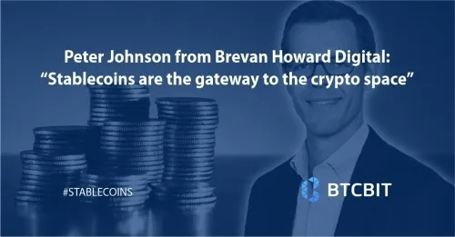 Peter Johnson from Brevan Howard Digital: “Stablecoins are the gateway to the crypto space”
