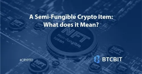 A Semi-Fungible Crypto Item: What does it Mean?