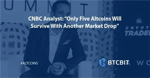 cnbc_analyst_only_five altcoins_will_survive_with_another_market_drop