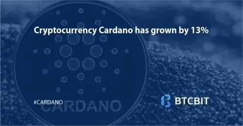 Cryptocurrency Cardano has grown by 13%