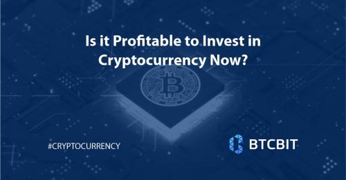 Is It Profitable To Invest In Cryptocurrency Now Btcbit Net