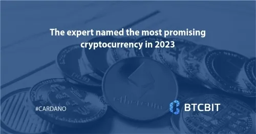 The expert named the most promising cryptocurrency in 2023